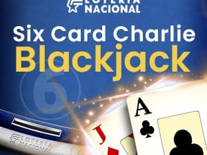 Six Card Charlie Blackjack game cover
